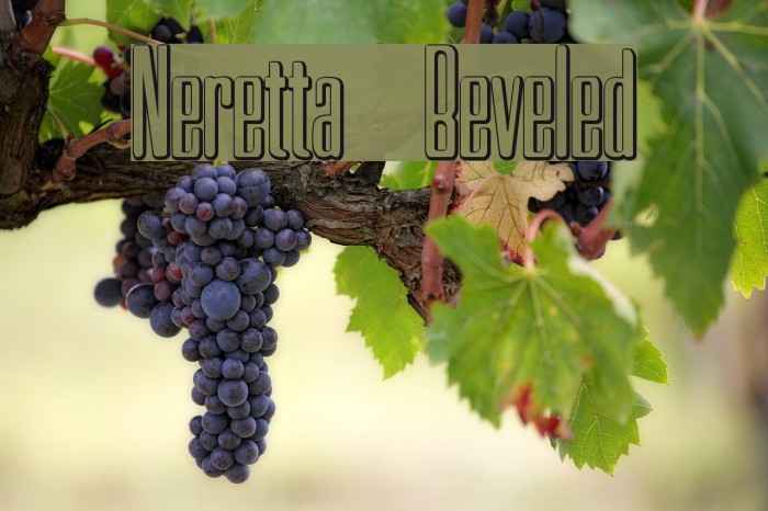 Neretta Beveled Font examples