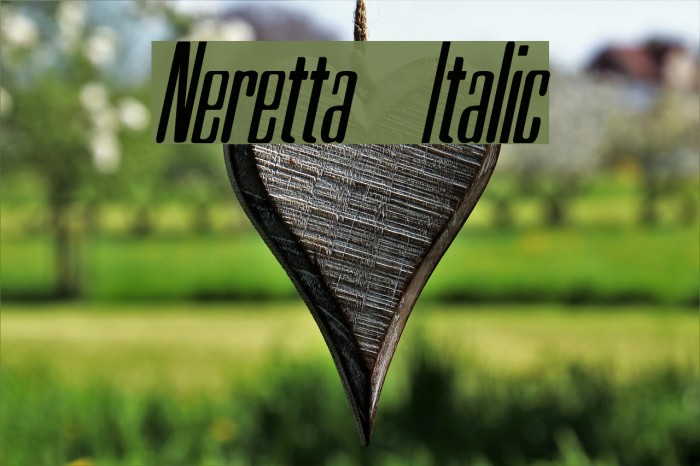 Neretta Italic Font examples