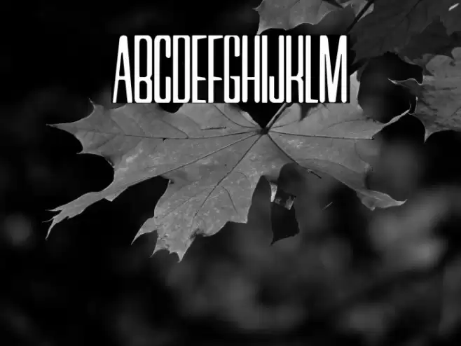 Neretta Font examples