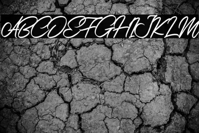 NerfiaScriptDEMO-Regular Font examples