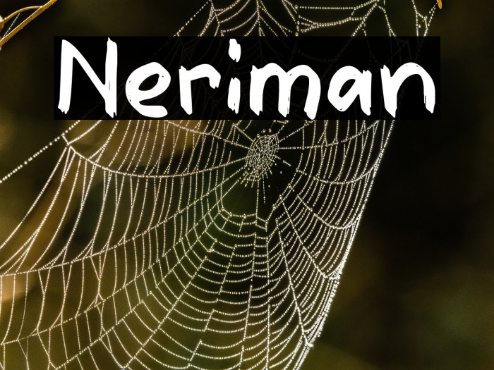 Neriman Example 3