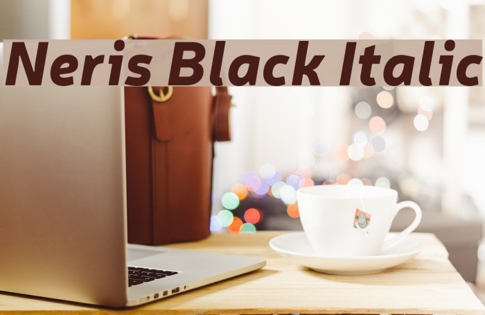 Neris Black Italic Example 1