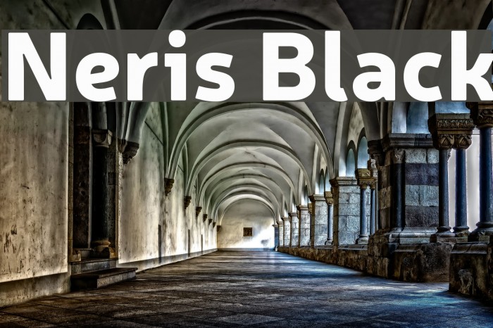 Neris Black Font examples