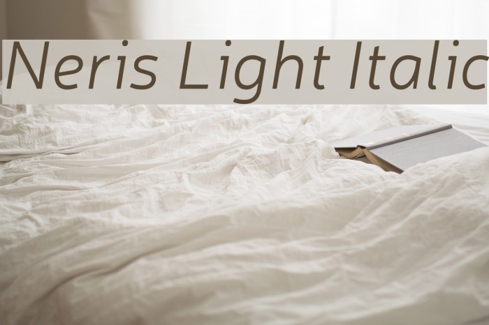 Neris Light Italic Font examples