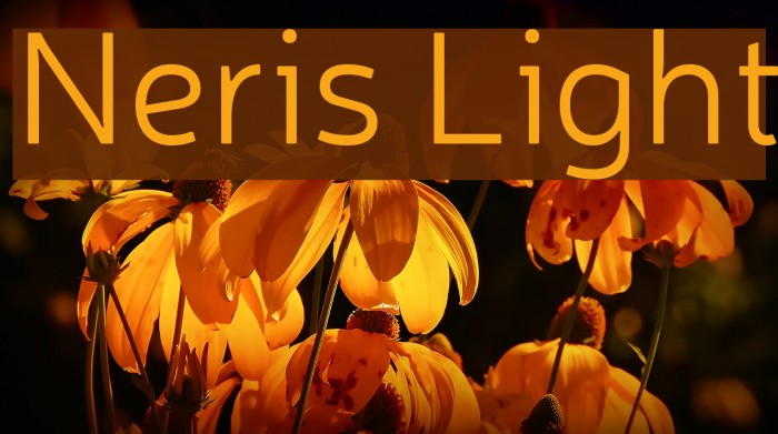 Neris Light Font examples
