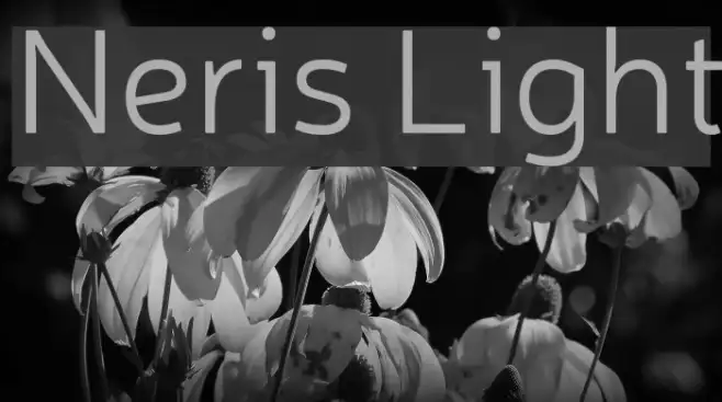 Neris Light Example 2