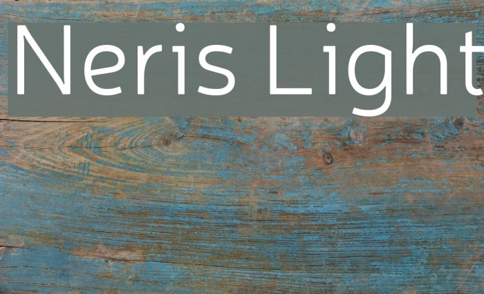Neris Light Font examples