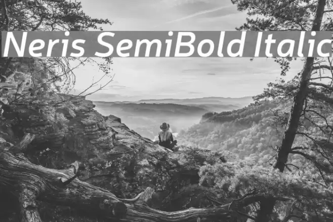 Neris SemiBold Italic Font examples
