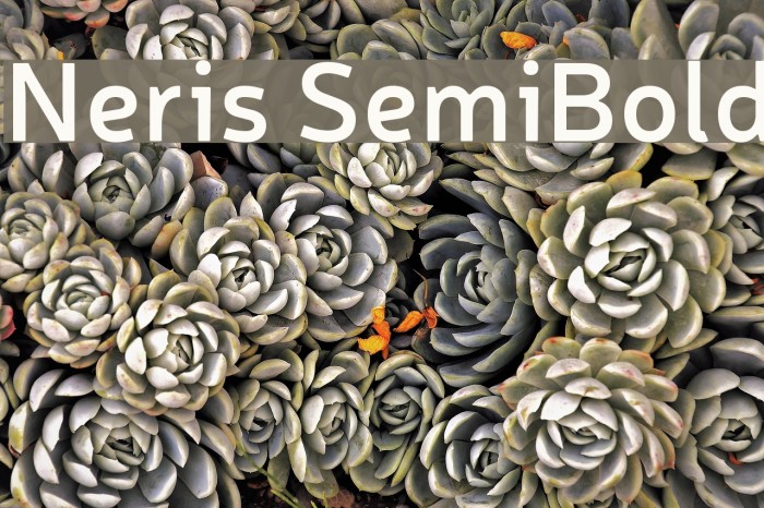 Neris SemiBold Font examples