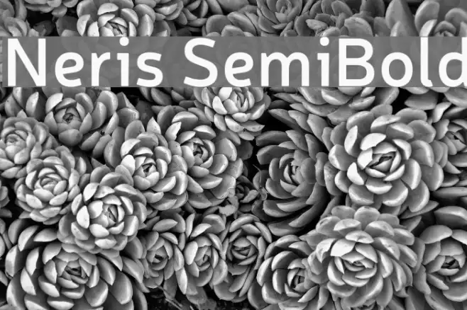 Neris SemiBold Example 1