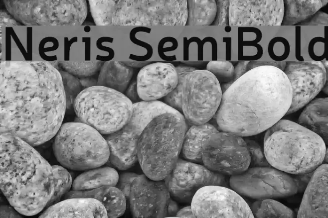 Neris SemiBold Example 2