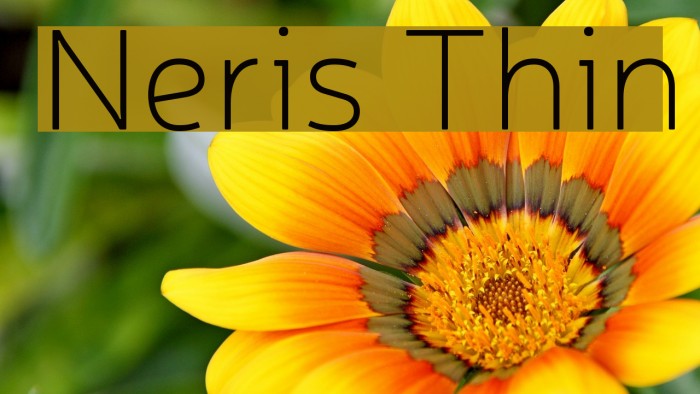 Neris Thin Font examples