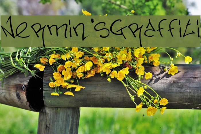 Nermin's Graffiti 字体 examples