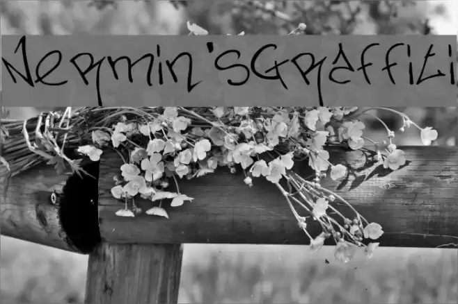 Nermin's Graffiti Font examples