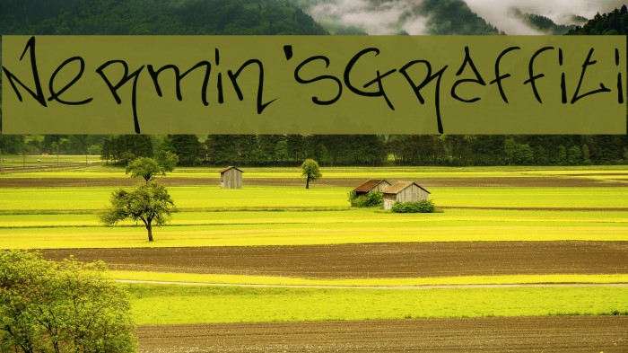 Nermin's Graffiti 字体 examples