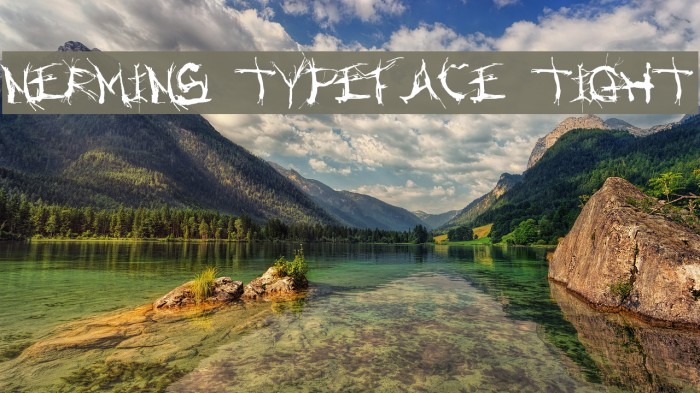 Nermins Typeface Tight Font examples