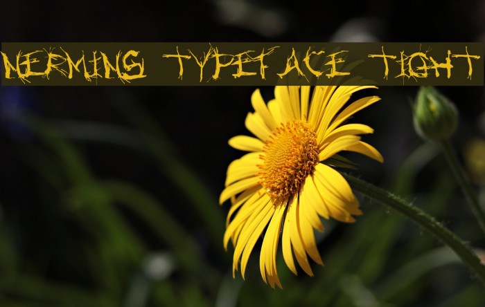 Nermins Typeface Tight Font examples