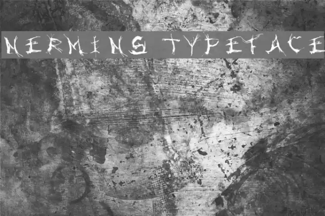 Nermin's Typeface Polices examples