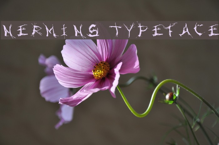 Nermin's Typeface Font examples