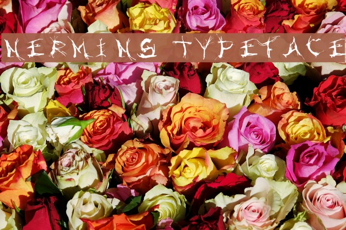 Nermin's Typeface Font examples