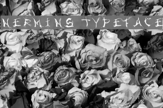 Nermin's Typeface Polices examples