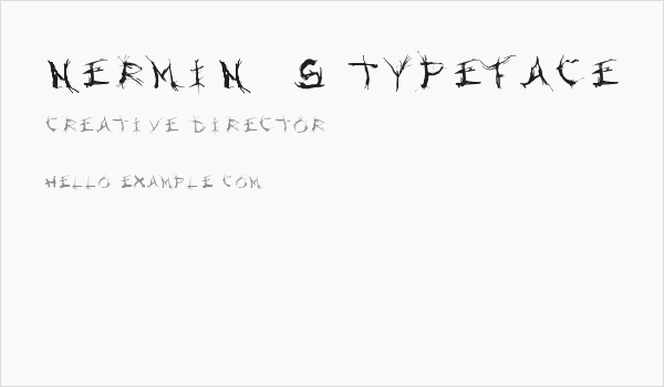 Nermin's Typeface Business Card