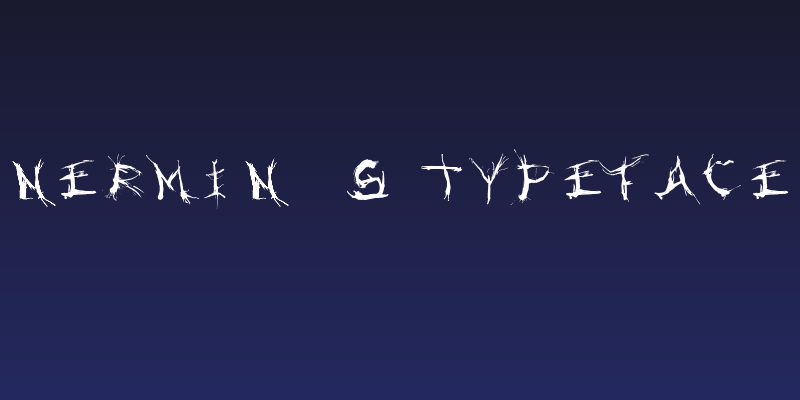 Nermin's Typeface Social Header