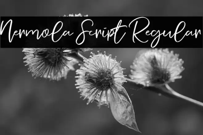 Nermola Script Regular Font examples