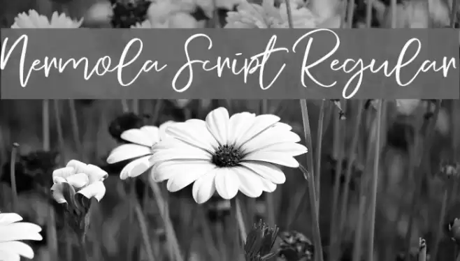 Nermola Script Regular Font examples
