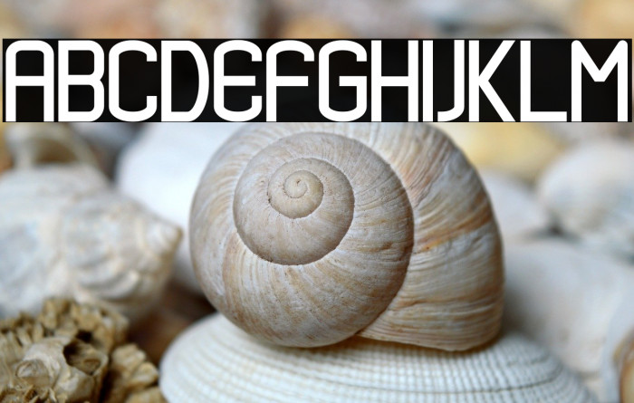 Nero Baruno Example 2