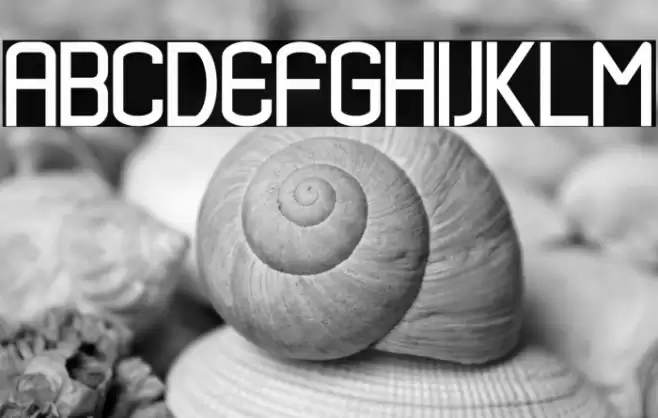 Nero Baruno Font examples