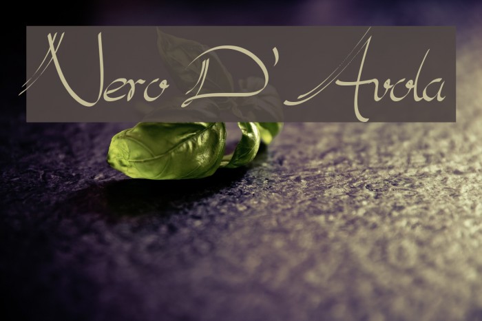 Nero D'Avola Example 1