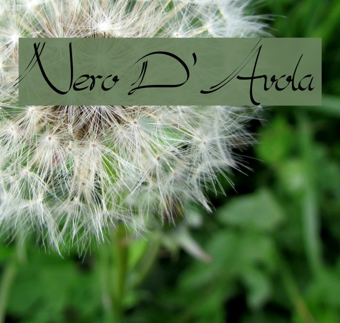 Nero D'Avola Example 3