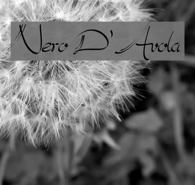 Nero D'Avola Font examples