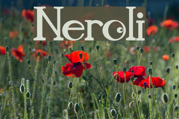 Neroli Font examples