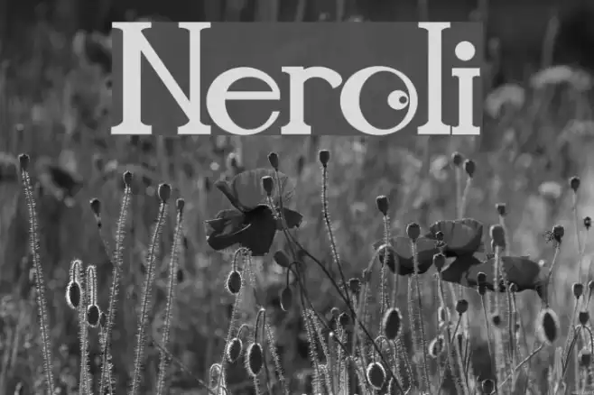 Neroli Example 2