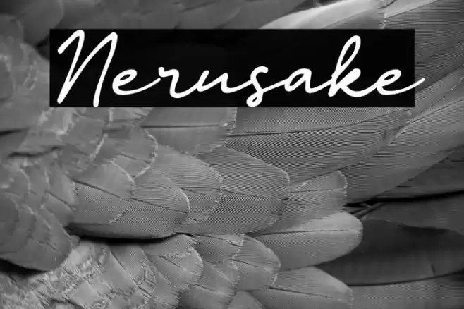 Nerusake Font examples
