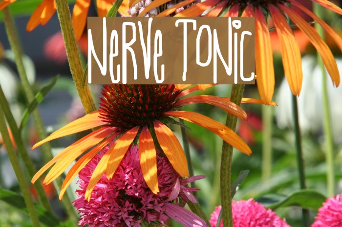 Nerve Tonic Font examples