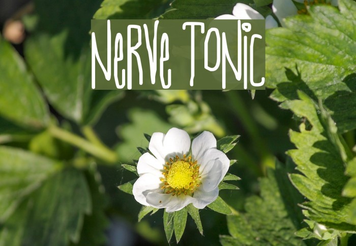 Nerve Tonic Font examples