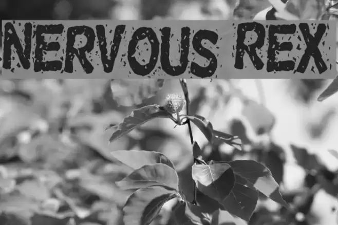 Nervous Rex Font examples