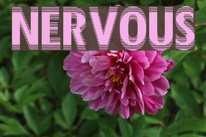 Nervous Шрифта examples