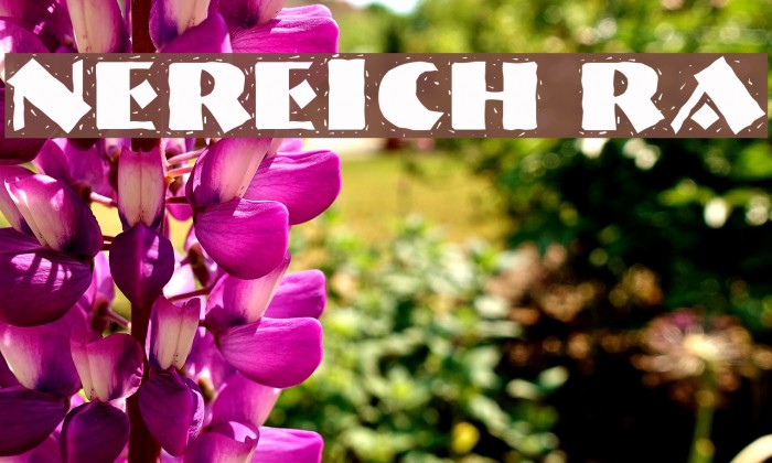 NervouzReich Rank Font examples