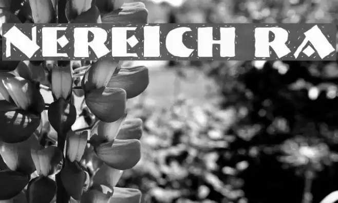 NervouzReich Rank Font examples