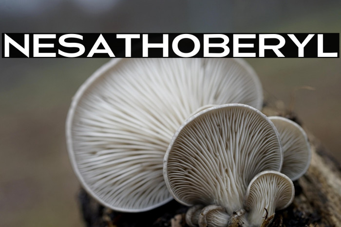 NesathoBeryl Example 2