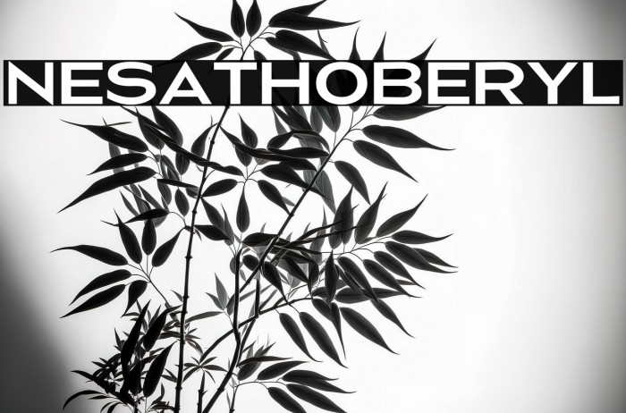 NesathoBeryl Example 3