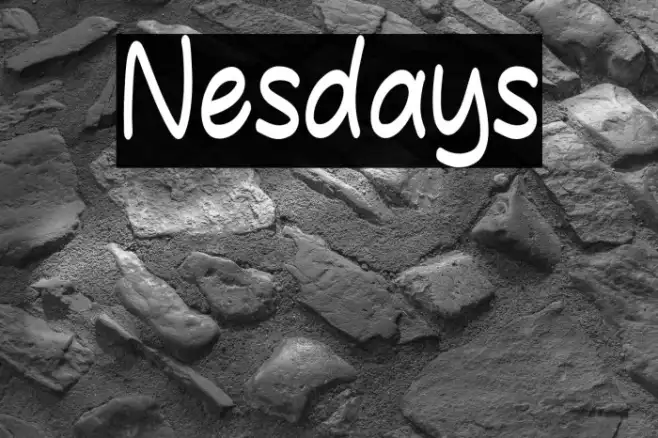 Nesdays Example 1