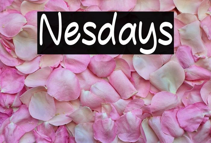 Nesdays Example 3