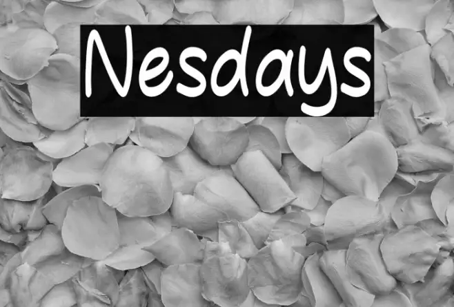 Nesdays Example 3