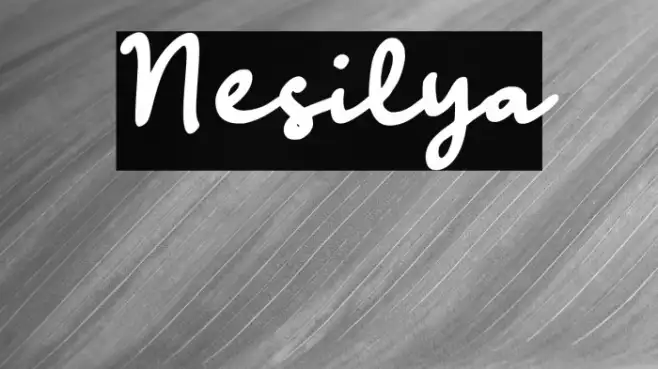 Nesilya Example 1