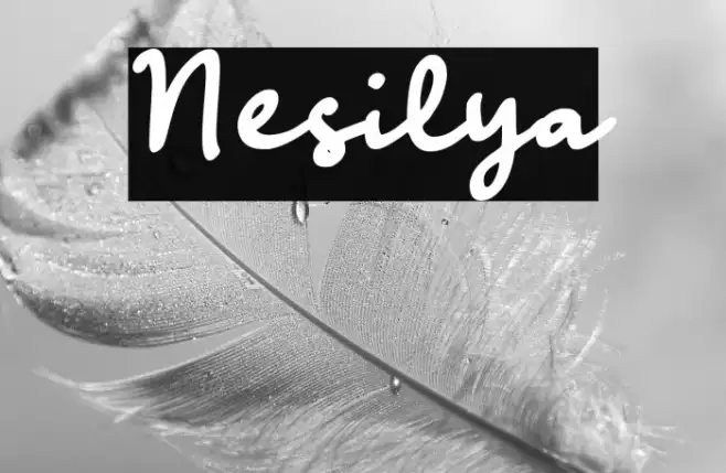 Nesilya Example 2